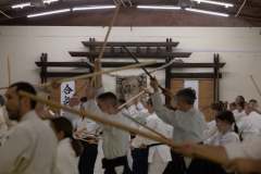 2025.10.18-Photo-7391