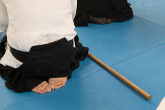 2025.10.18-Photo-7900