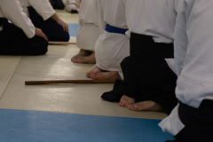 2025.10.18-Photo-7902