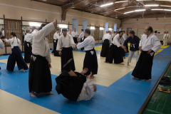 2025.10.18-Photo-8066